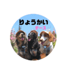 obochamas stamp（個別スタンプ：21）
