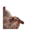 キジ猫かつお（個別スタンプ：18）