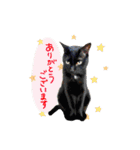ゆずぽん2（個別スタンプ：1）