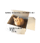 ゆずぽん2（個別スタンプ：22）