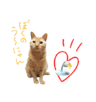 ゆずぽん2（個別スタンプ：31）