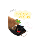 ゆずぽん2（個別スタンプ：32）