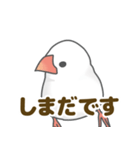 【しまだ専用】文鳥さんスタンプ（個別スタンプ：1）