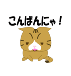 もっちり★まゆげねこ（個別スタンプ：3）