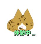 もっちり★まゆげねこ（個別スタンプ：17）