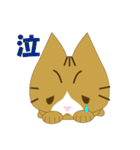 もっちり★まゆげねこ（個別スタンプ：23）