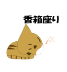 もっちり★まゆげねこ（個別スタンプ：31）