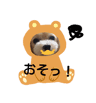 マルプーの日常毒舌編（個別スタンプ：2）