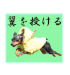 アクティブ・ミニチュアピンシャー（個別スタンプ：23）