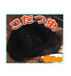 アクティブ・ミニチュアピンシャー（個別スタンプ：30）