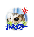日常ぱる君～第2弾（個別スタンプ：1）