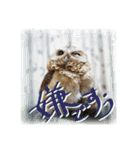日常ぱる君～第2弾（個別スタンプ：4）