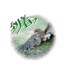 日常ぱる君～第2弾（個別スタンプ：8）