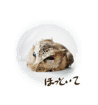 日常ぱる君～第2弾（個別スタンプ：9）