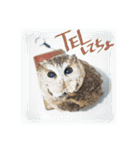 日常ぱる君～第2弾（個別スタンプ：13）