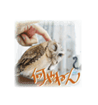 日常ぱる君～第2弾（個別スタンプ：20）