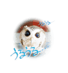 日常ぱる君～第2弾（個別スタンプ：21）