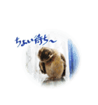 日常ぱる君～第2弾（個別スタンプ：25）