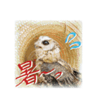 日常ぱる君～第2弾（個別スタンプ：29）