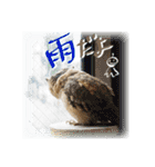 日常ぱる君～第2弾（個別スタンプ：30）