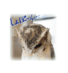 日常ぱる君～第2弾（個別スタンプ：32）