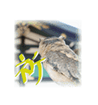 日常ぱる君～第2弾（個別スタンプ：34）