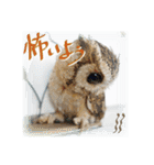 日常ぱる君～第2弾（個別スタンプ：36）