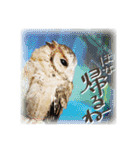 日常ぱる君～第2弾（個別スタンプ：37）