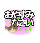紅にゃんこのまったりスタンプ（個別スタンプ：4）
