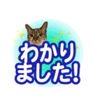 紅にゃんこのまったりスタンプ（個別スタンプ：8）