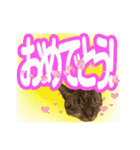 紅にゃんこのまったりスタンプ（個別スタンプ：22）