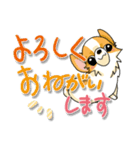 チワワでメッセージ7(でか文字)（個別スタンプ：18）