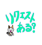 つきねこ ミケの日常 家族連絡 でか文字（個別スタンプ：19）