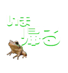 Living Things 〜いきものスタンプ〜（個別スタンプ：2）