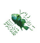 Living Things 〜いきものスタンプ〜（個別スタンプ：4）