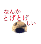 Living Things 〜いきものスタンプ〜（個別スタンプ：6）