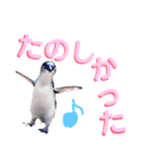 Living Things 〜いきものスタンプ〜（個別スタンプ：7）