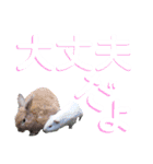 Living Things 〜いきものスタンプ〜（個別スタンプ：11）