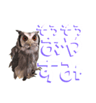 Living Things 〜いきものスタンプ〜（個別スタンプ：12）