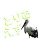 Living Things 〜いきものスタンプ〜（個別スタンプ：15）