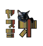 黒猫（タンゴちゃん）のでか文字スタンプ（個別スタンプ：36）