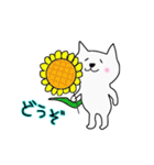 夏南国リゾート♡白猫ホイップ inグアム2（個別スタンプ：26）