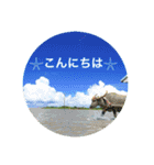 南ぬ島石垣島〜離島"（個別スタンプ：2）