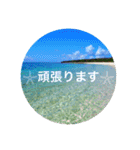 南ぬ島石垣島〜離島"（個別スタンプ：11）