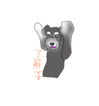 我が家のシュナウザー（個別スタンプ：6）