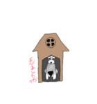 我が家のシュナウザー（個別スタンプ：11）