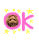 あにまるすたんぷ★"（個別スタンプ：3）
