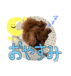 あにまるすたんぷ★"（個別スタンプ：8）