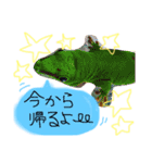 あにまるすたんぷ★"（個別スタンプ：11）