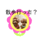 あにまるすたんぷ★"（個別スタンプ：14）